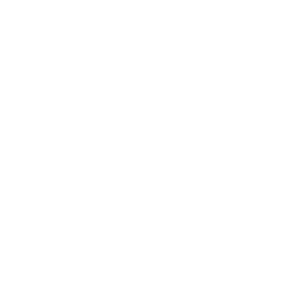 logo-big-white